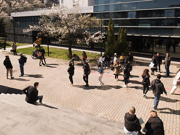 informatica-jpg_600x450_crop_478b24840a